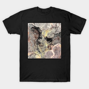 Brown, gold and black marble effect T-Shirt